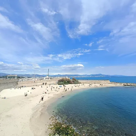 Apartment La Perle D'antibes And Port 300 M Away